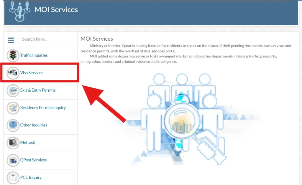 Visa Services